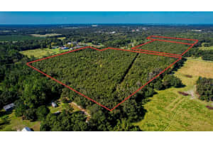  205 AVE NE, WILLISTON, FL 32696 - MLS#MFROM647148