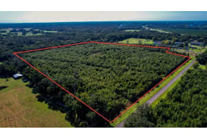  205 AVE NE, WILLISTON, FL 32696 - MLS#MFROM647148