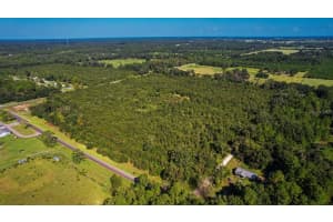  205 AVE NE, WILLISTON, FL 32696 - MLS#MFROM647148