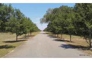 17001 SW HIGHWAY 484, DUNNELLON, FL 34432 - MLS#MFROM647614