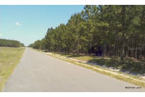 17001 SW HIGHWAY 484, DUNNELLON, FL 34432 - MLS#MFROM647614