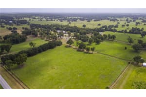 13703 NW HWY 225A, REDDICK, FL 32686 Sold 05/20/25