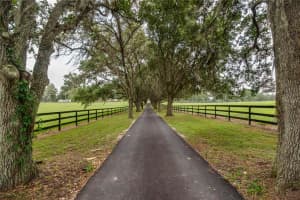 13703 NW HWY 225A, REDDICK, FL 32686 Sold 05/20/25