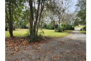 3231 NE HWY 41, WILLISTON, FL 32696 - MLS#MFROM649657