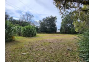 3231 NE HWY 41, WILLISTON, FL 32696 - MLS#MFROM649657