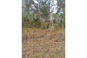 NW SHAMROCK AVE, DUNNELLON, FL 34431 - MLS#MFROM650606
