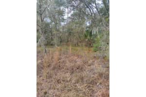 NW SHAMROCK AVE, DUNNELLON, FL 34431 - MLS#MFROM650606