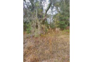 NW SHAMROCK AVE, DUNNELLON, FL 34431 - MLS#MFROM650606