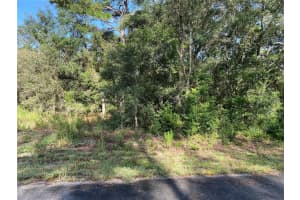 SW BREEZY POINT DR, DUNNELLON, FL 34431 - MLS#MFROM651146