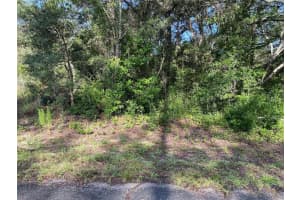 SW BREEZY POINT DR, DUNNELLON, FL 34431 - MLS#MFROM651146