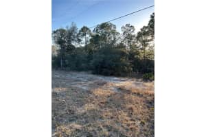 SW SOUTH WIND CT, DUNNELLON, FL 34431 - MLS#MFROM652879