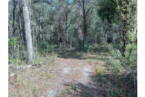 00 E HWY 316, FORT MC COY, FL 32134 - MLS#MFROM654349