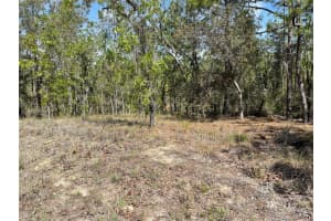 Lot 6 2 STREET, WILLISTON, FL 32696 - MLS#MFROM654893