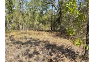 Lot 6 2 STREET, WILLISTON, FL 32696 - MLS#MFROM654893