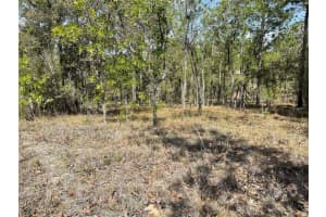 Lot 6 2 STREET, WILLISTON, FL 32696 - MLS#MFROM654893