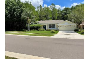 1115 Mistwood Dr, Tarpon Springs, FL 34688, Sold 05/12/23