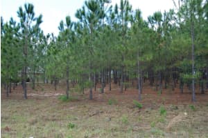 0 ASPEN AVENUE, OCALA, FL 34480 Sold 10/31/24