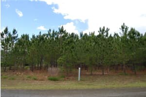 0 ASPEN AVENUE, OCALA, FL 34480 Sold 10/31/24