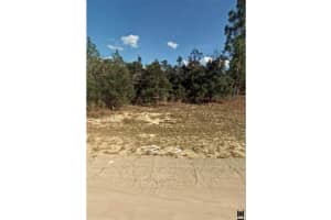 5886 MATHESON DRIVE, CITRUS SPRINGS, FL 34434 - MLS#MFROM658415