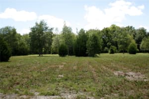 TBD 17TH PLACE, WILLISTON, FL 32696 - MLS#MFROM658640