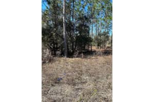 TBD EVERGREEN COURT, DUNNELLON, FL 34431 - MLS#MFROM660343
