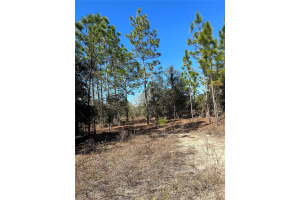 TBD EVERGREEN COURT, DUNNELLON, FL 34431 - MLS#MFROM660343