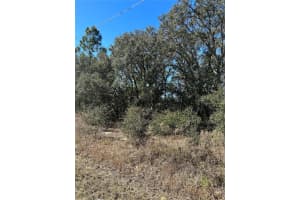 TBD EVERGREEN COURT, DUNNELLON, FL 34431 - MLS#MFROM660343