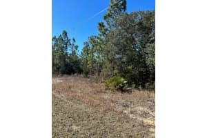 TBD EVERGREEN COURT, DUNNELLON, FL 34431 - MLS#MFROM660343