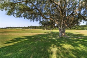 1885 85TH LOOP, OCALA, FL 34475 Sold 08/31/23