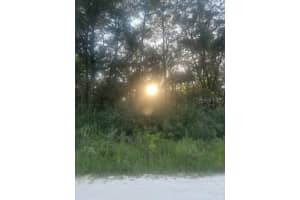 Lots 2 & 3 156 AVENUE, OCALA, FL 34481 - MLS#MFROM662538