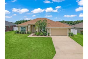 3819 99TH STREET, BELLEVIEW, FL 34420 Sold 11/03/23