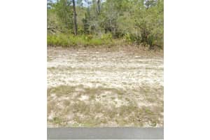 10449 ORANGE BLOSSOM BOULEVARD, SEBRING, FL 33875 - MLS#MFROM663539