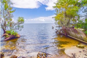 9021 310TH AVENUE, SALT SPRINGS, FL 32134 Sold 01/23/25