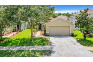 18924 PARAPET PLACE, LAND O LAKES, FL 34638 Sold 03/13/24