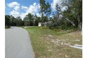 TBD SW 196 AVENUE ROAD, DUNNELLON, FL 34432 Sold 11/01/24