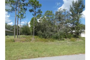 TBD SW 196 AVENUE ROAD, DUNNELLON, FL 34432 Sold 11/01/24