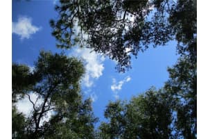 14860 112TH CIRCLE, DUNNELLON, FL 34432 Sold 10/12/23