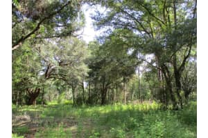 14860 112TH CIRCLE, DUNNELLON, FL 34432 Sold 10/12/23