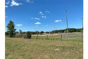 6861 103 PLACE, BELLEVIEW, FL 34420 Sold 02/16/24