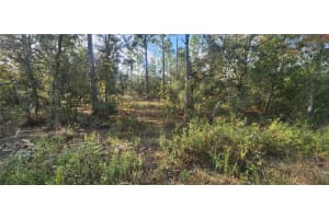 00 EDGEWATER BOULEVARD, DUNNELLON, FL 34431 - MLS#MFROM665115
