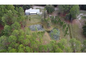 7006 E HIGHWAY 318, CITRA, FL 32113 Sold 05/16/25