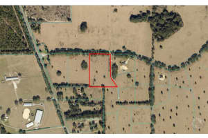 SE 116TH PLACE RD, OCALA, FL 34480 Sold 03/25/25