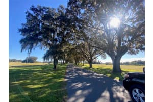 SE 116TH PLACE RD, OCALA, FL 34480 Sold 03/25/25