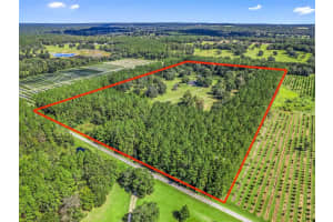 16675 112 COURT, REDDICK, FL 32686 Sold 01/29/24