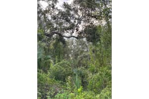 29431 NOTTINGHAM ROAD, PUNTA GORDA, FL 33982 - MLS#MFROM666471