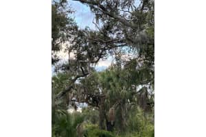 29431 NOTTINGHAM ROAD, PUNTA GORDA, FL 33982 - MLS#MFROM666471