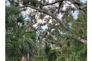 29431 NOTTINGHAM ROAD, PUNTA GORDA, FL 33982 - MLS#MFROM666471