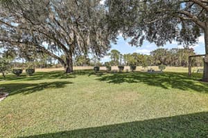 9538 COUNTY ROAD 125C, WILDWOOD, FL 34785 Sold 03/08/24