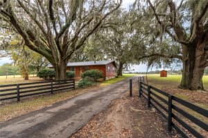 6677 W HIGHWAY 318, REDDICK, FL 32686 Sold 04/10/25