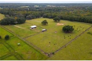 6677 W HIGHWAY 318, REDDICK, FL 32686 Sold 04/10/25